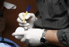 antidoping-21