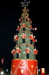 alcalde-bosco-ricardo-vallarino-enciende-arbolito-navidad-4 alcalde-bosco-ricardo-vallarino-enciende-arbolito-navidad-4