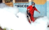 alcaldia-operativo-fumigacion alcaldia-operativo-fumigacion