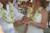 bodaCD_1065.jpg bodaCD_1065.jpg