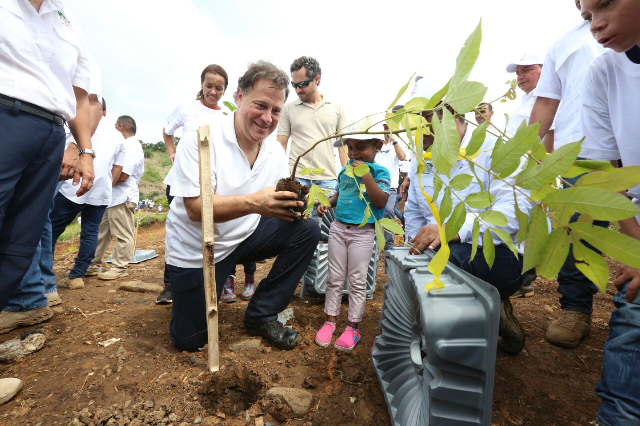 Más de 70 mil plantones sembrados por 20 mil voluntarios en todo el país