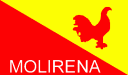 Partido MOLIRENA